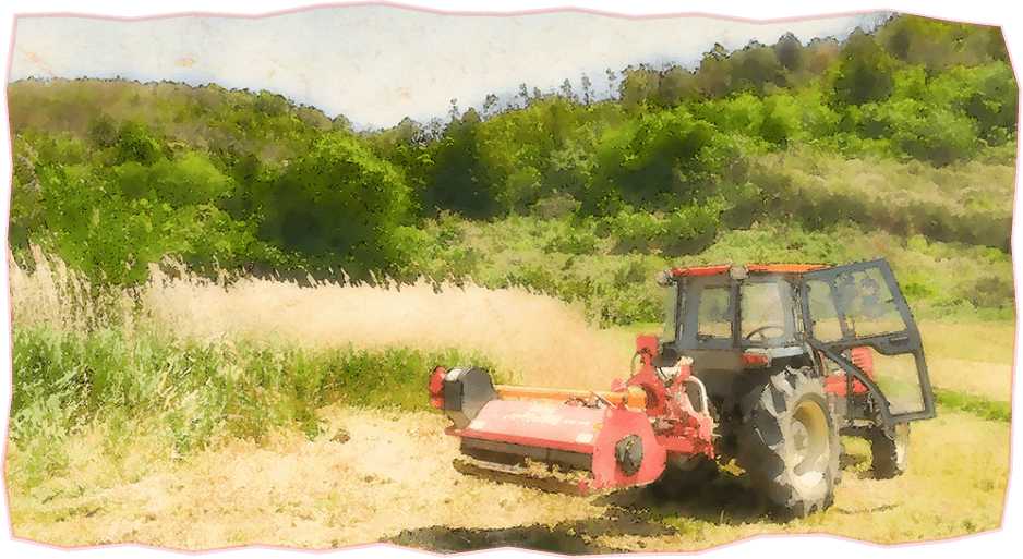 耕作放棄地にてトラクターの大型草刈り機で雑草取り