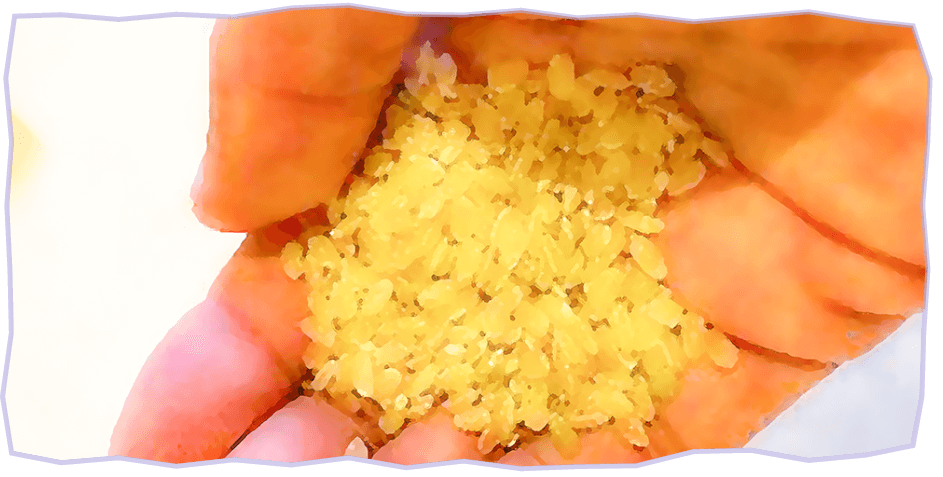 籾摺りという機械を通したお米